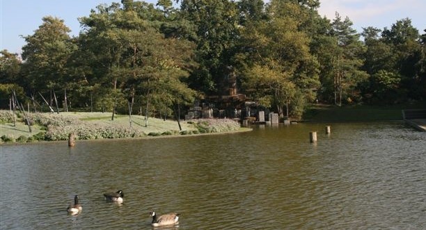 Image Découverte des oiseaux au Bois de Vincennes
