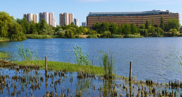 Image Observation des oiseaux du Lac de Créteil - LPO