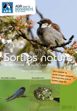 Image Sortie ornithologique avec la LPO - Bois de Boulogne