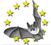 Image Nuit de la chauve-souris