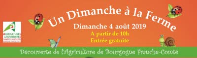 Image Un dimanche à la ferme : Du nectar au miel