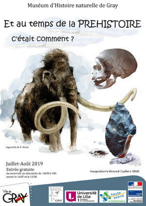 Image Exposition : Et au temps de la préhistoire, c'était comment ?