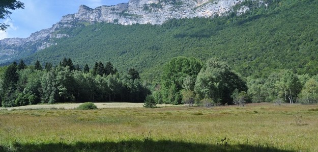 Image Découverte de la tourbière du Peuil