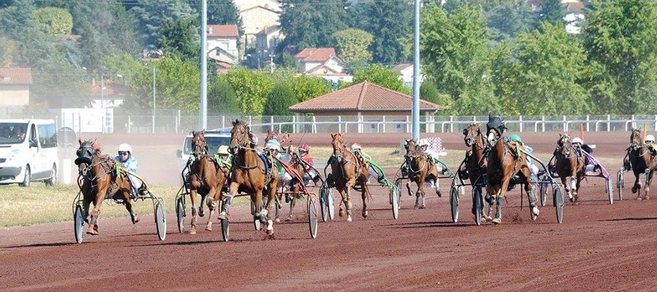 Image Au coeur des courses hippiques