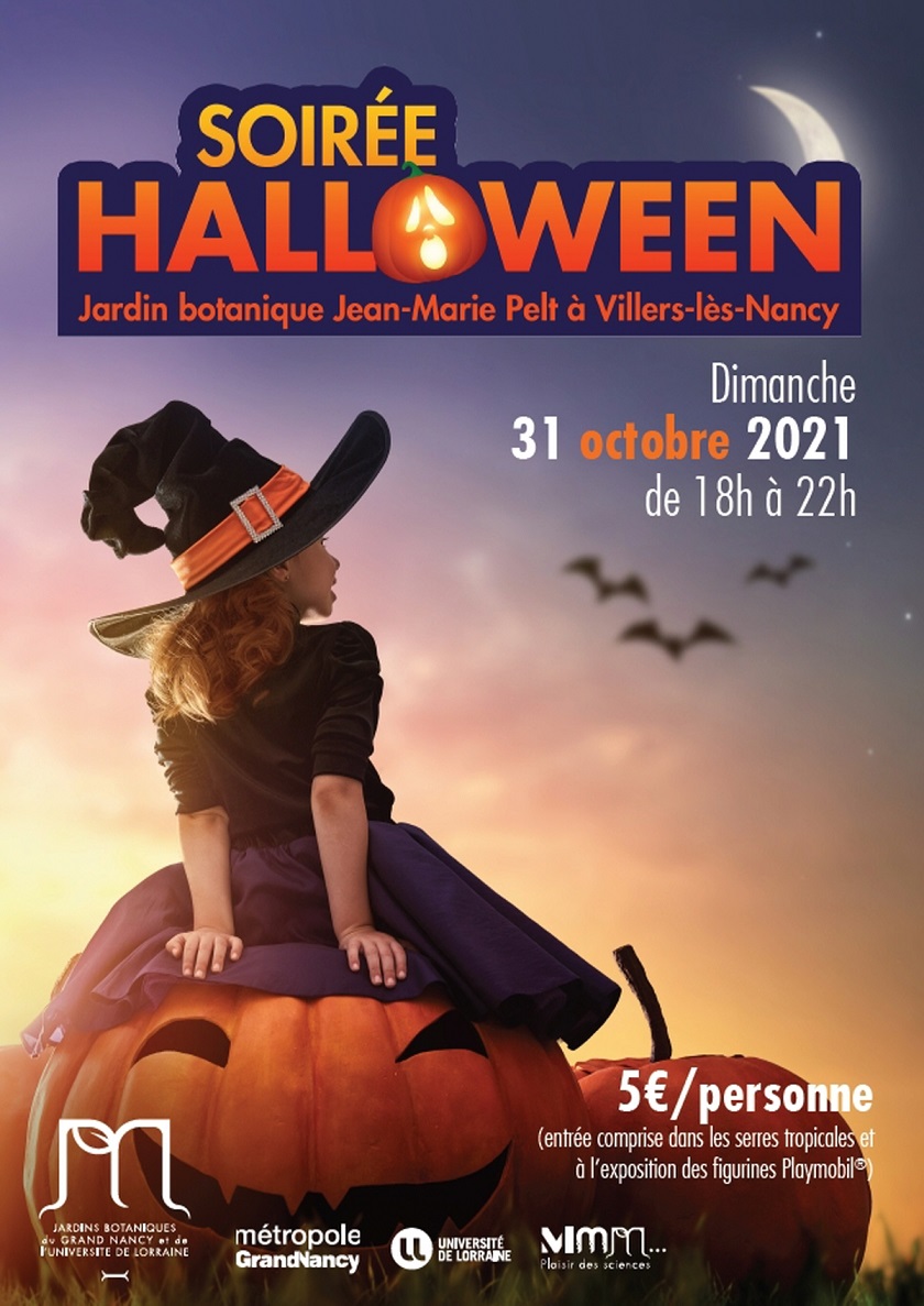 Image Soirée halloween
