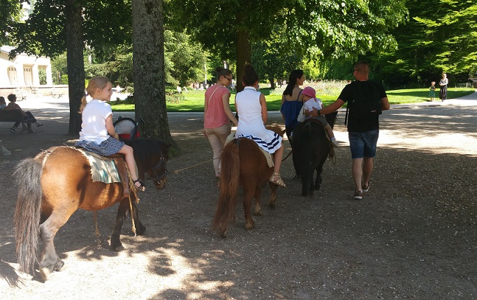 Image Une promenade à poney - Parc Micaud