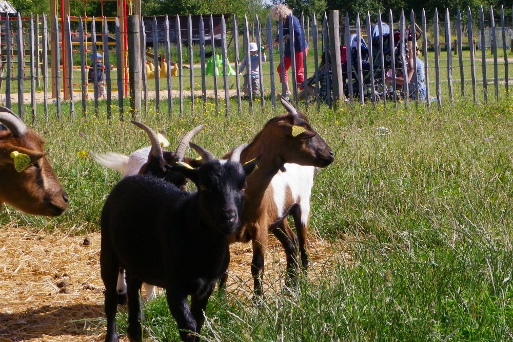 Image Ferme de la Grange aux Moines