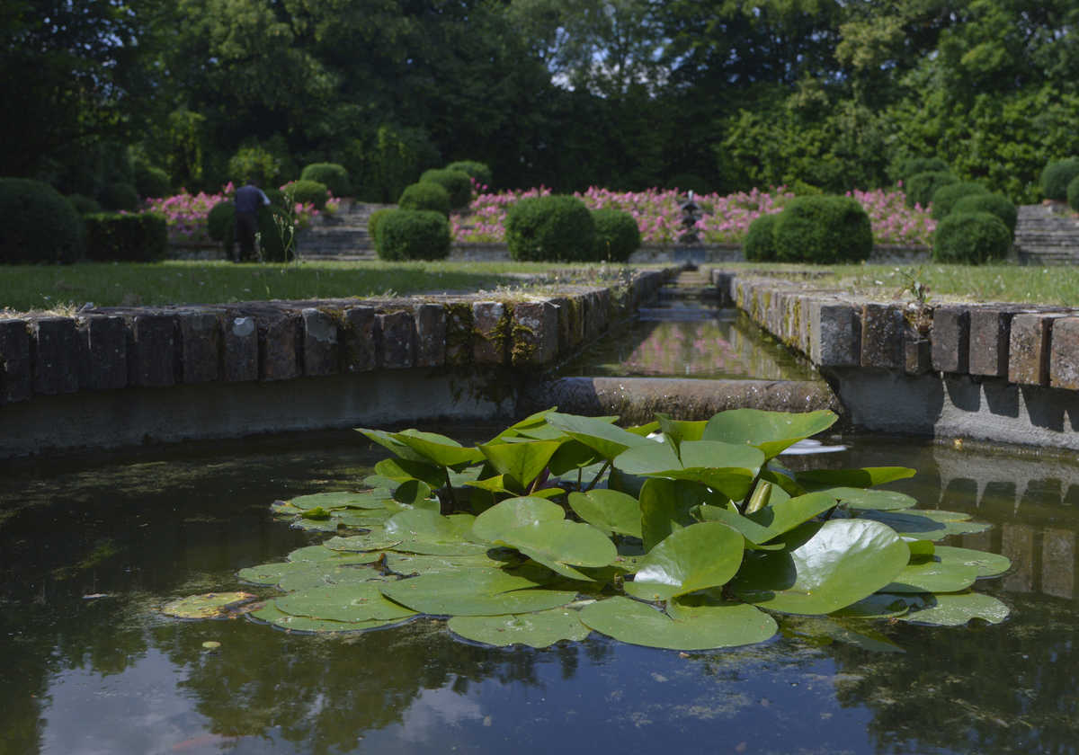 Image Parc Boussard