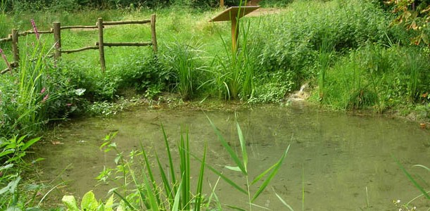 Image Le jardin de la biodiversité des Lacs de l'Essonne