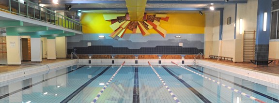 Image Piscine Aspirant Dunand