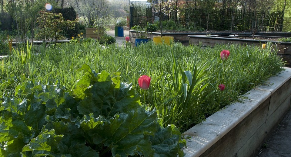 Image Jardins passagers