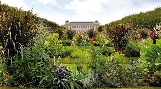 Image Le Jardin des plantes
