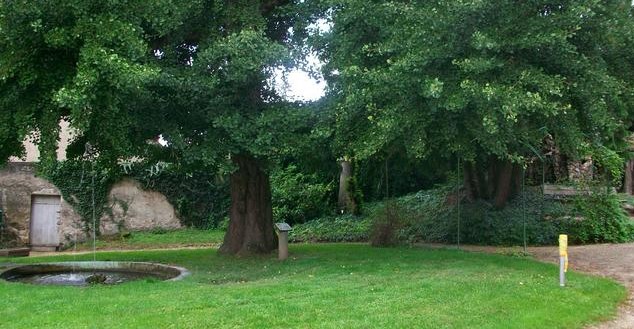 Image Parc Lamugnière