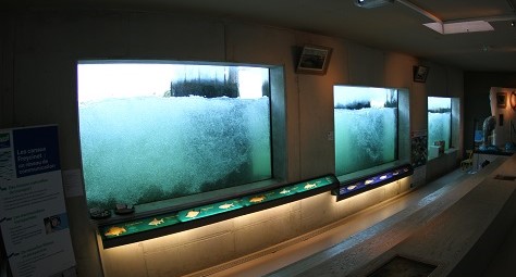 Image Espaces visiteurs de la passe à poissons