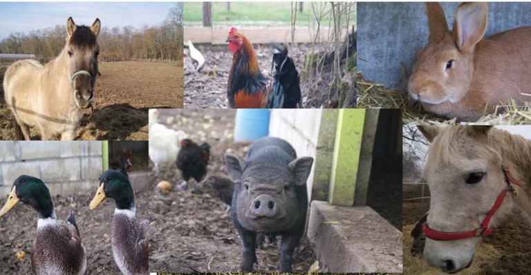 Image Ferme de Rosny