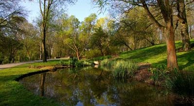 Image Parc départemental du Morbras