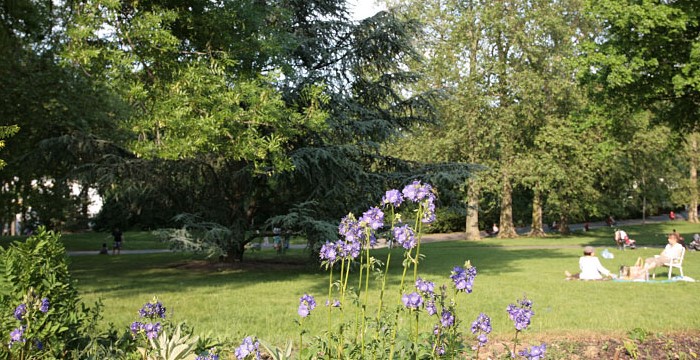 Image Parc départemental du Rancy