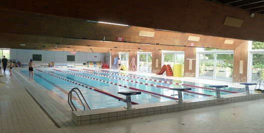 Image Piscine Caneton