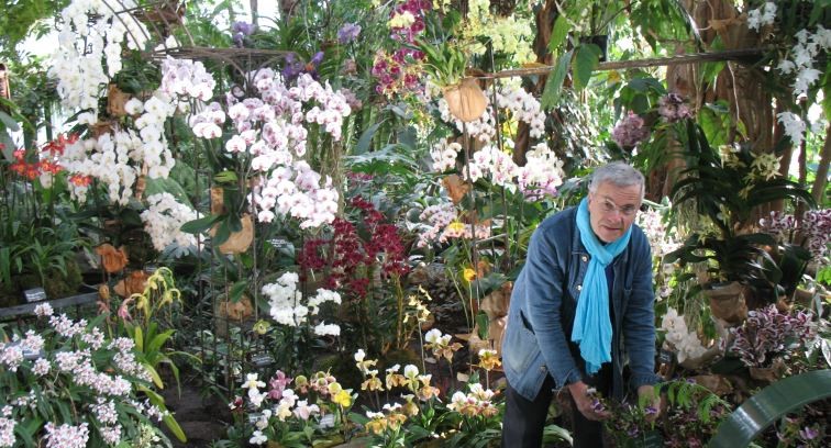 Image Orchidées Vacherot et Lecoufle