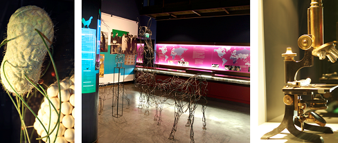 Image Musée de sciences biologiques Docteur Mérieux