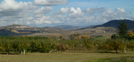 Image Domaine de Beaune