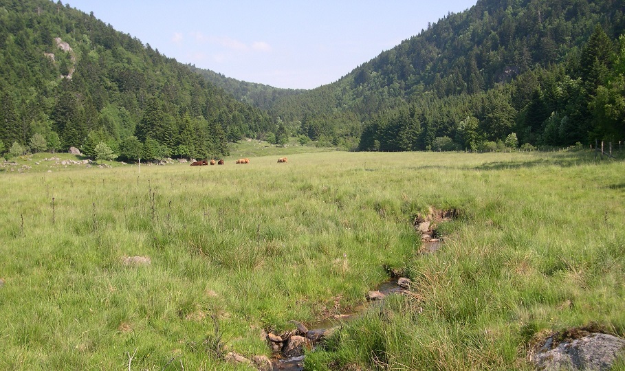 Image La vallée du Fossat et rochers de la pause