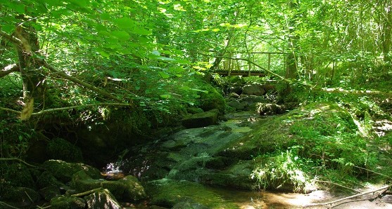 Image La vallée du sans soucis