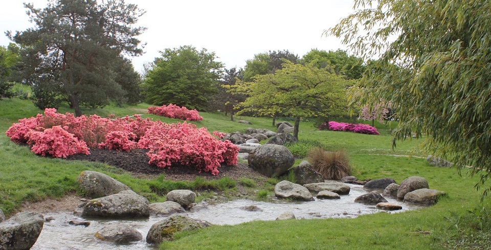Image Le parc Floral