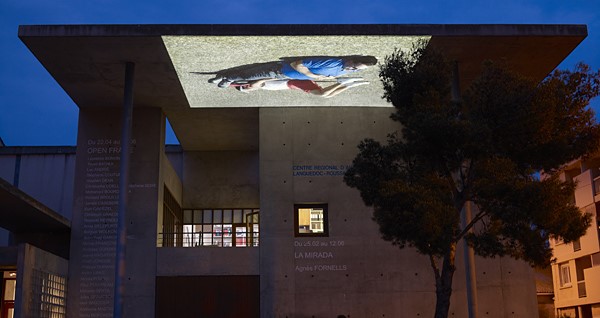 Image Centre régional d'art contemporain