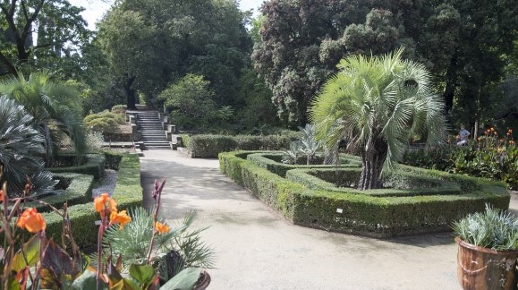 Image Jardin des plantes de Montpellier