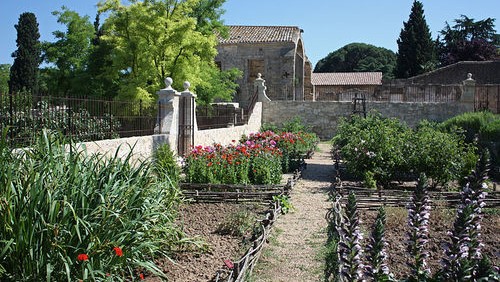 Image Jardin médiéval Saint Jean des Anneaux