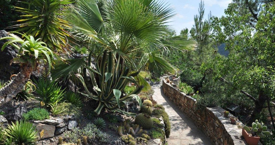Image Jardin Méditerranéen de Roquebrun