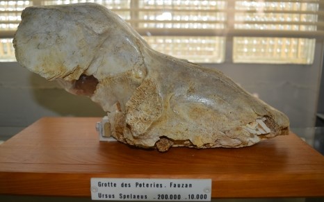Image Musée archéologique d'Olonzac