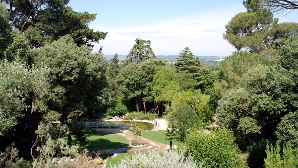 Image Parc du Terral