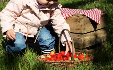 Image Ferme de Chebuette