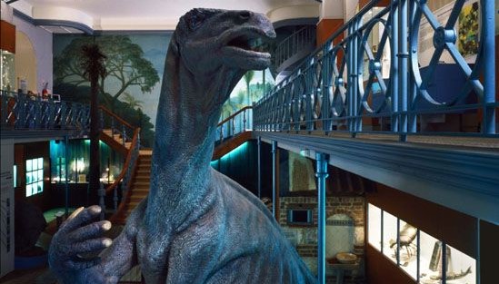 Image Musée d'histoire naturelle de Lille