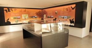 Image Ecomusée de la Crau - Maison de la Crau