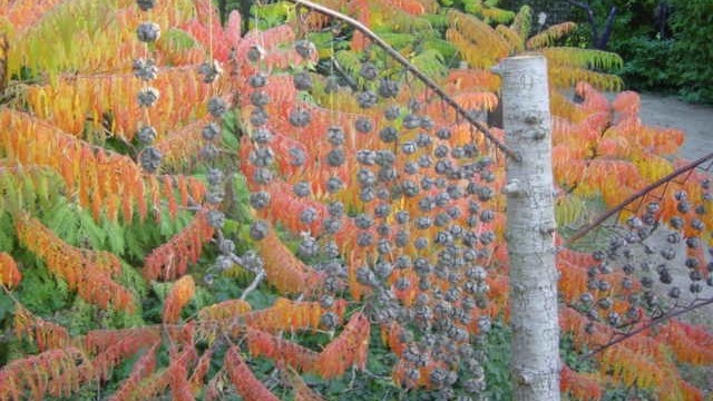 Image Le Jardin d'Eguilles
