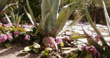 Image Jardin des 5 sens et des formes premières