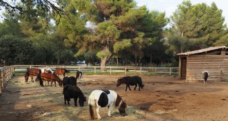Image La ferme pédagogique de Martigues