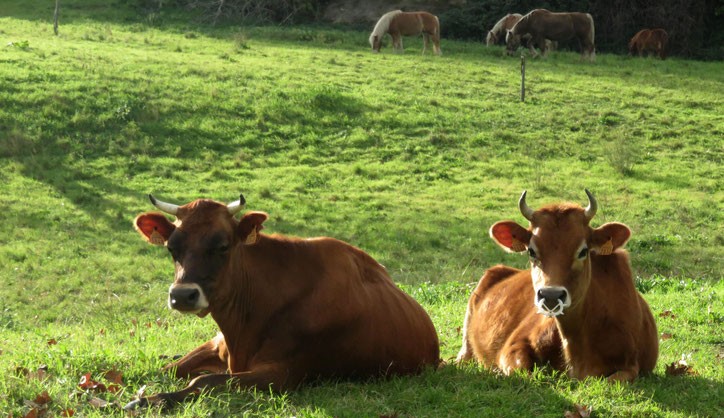 Image La ferme pédagogique La Tour des Pins