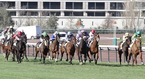 Image Hippodrome Borély