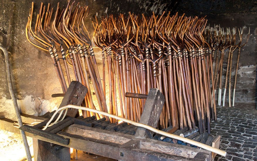 Image Le Conservatoire de la Fourche