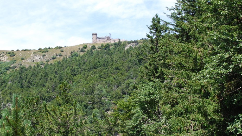 Image Arboretum de l'Hort de Dieu