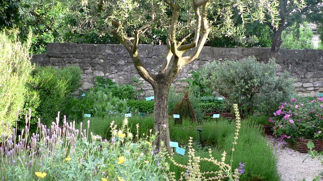 Image Le Jardin Médiéval d'Uzès