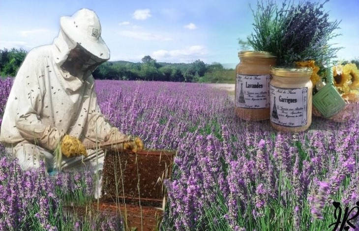 Image Le Grenier aux Abeilles