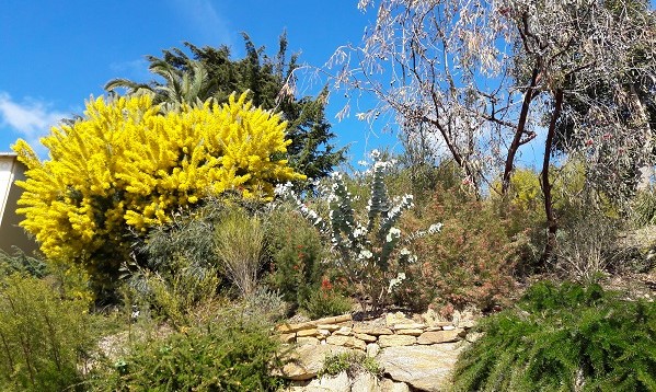 Image Le Parc Gonzalez