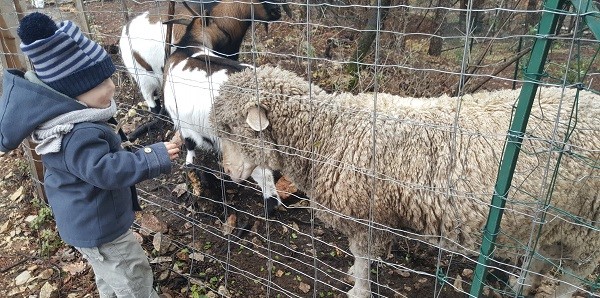 Image La Ferme de Tiavan