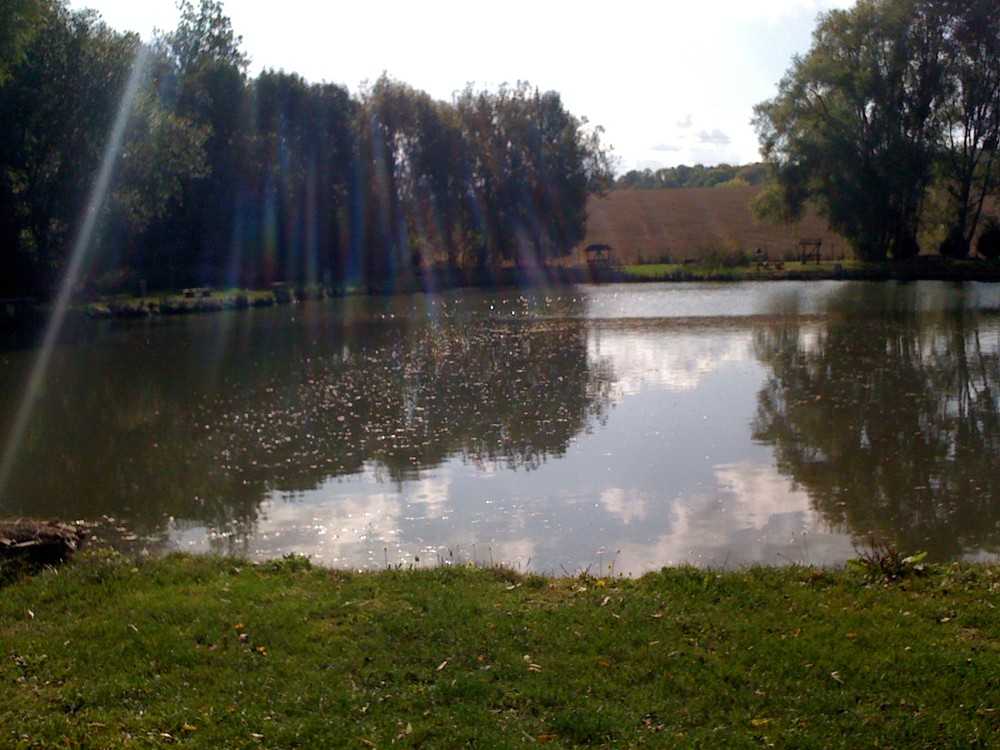 Image Etang de la Maraîchère