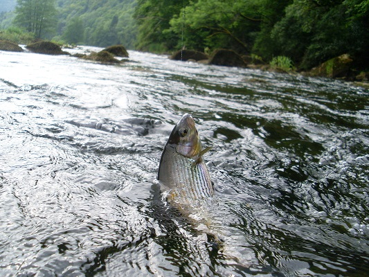 Image Guide de pêche